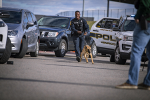 Officer and dog who are part of the K-9 unit